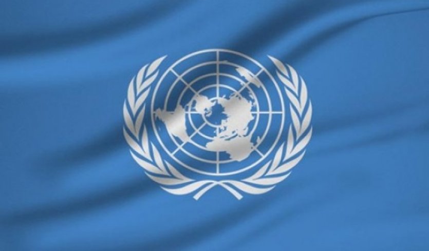 Birleşmiş Milletler (BM)